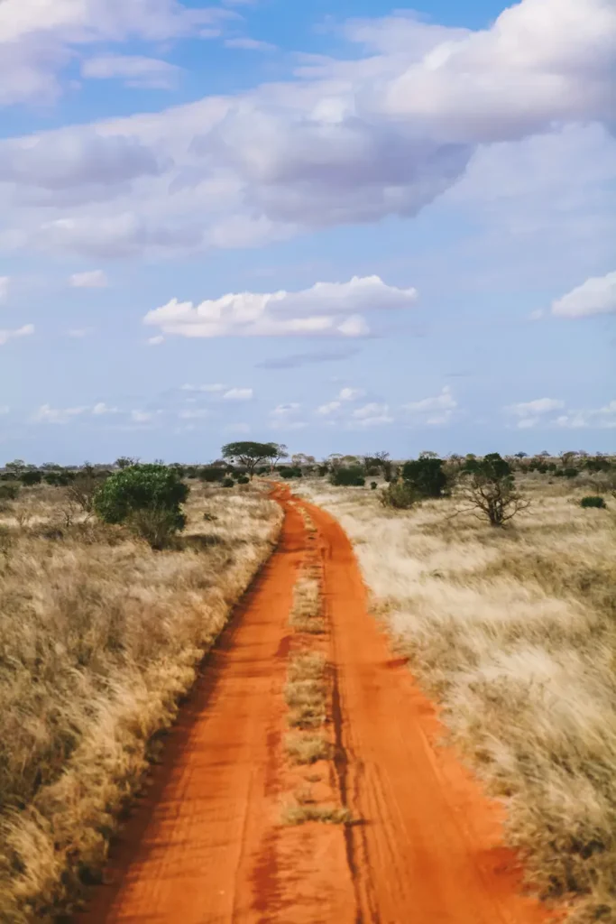 The red soil at Tsavo East National Park in Kenya