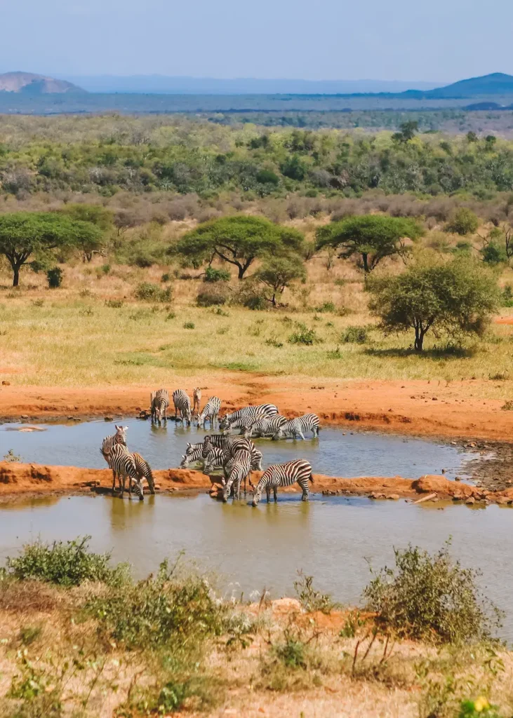 View from the hotel at Tsavo West in Kenya.