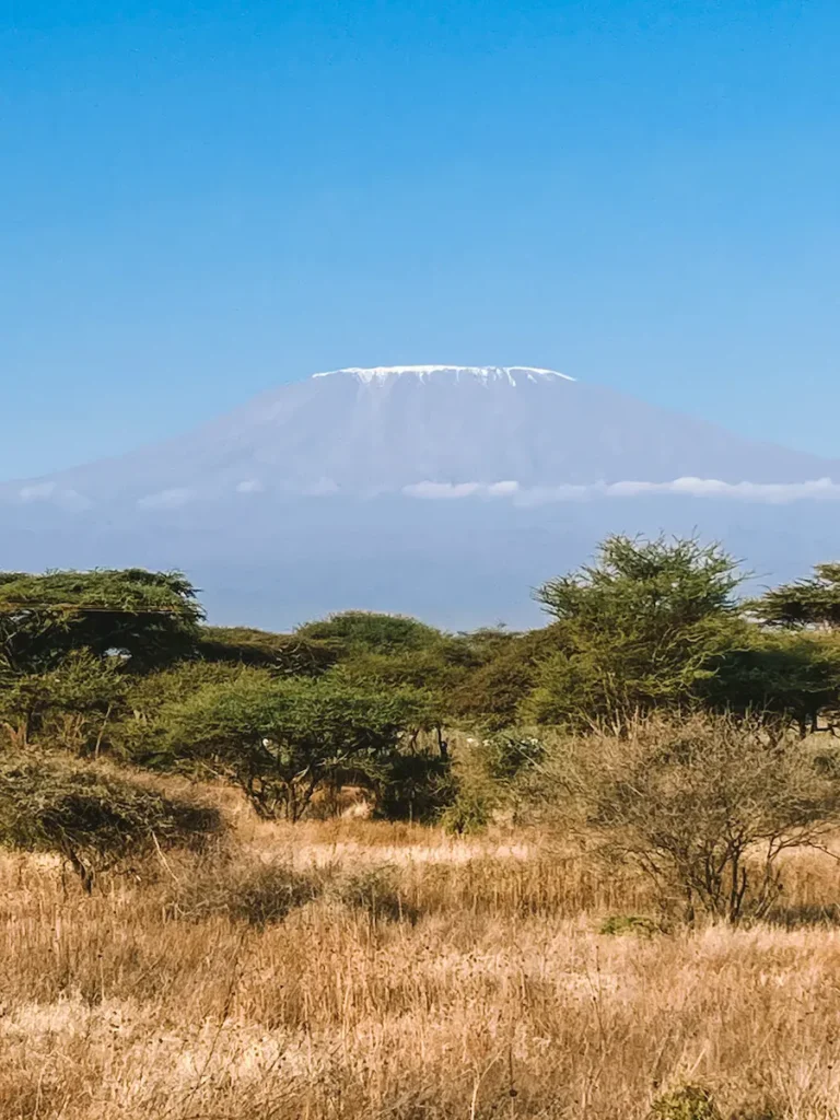 The Kilimanjaro