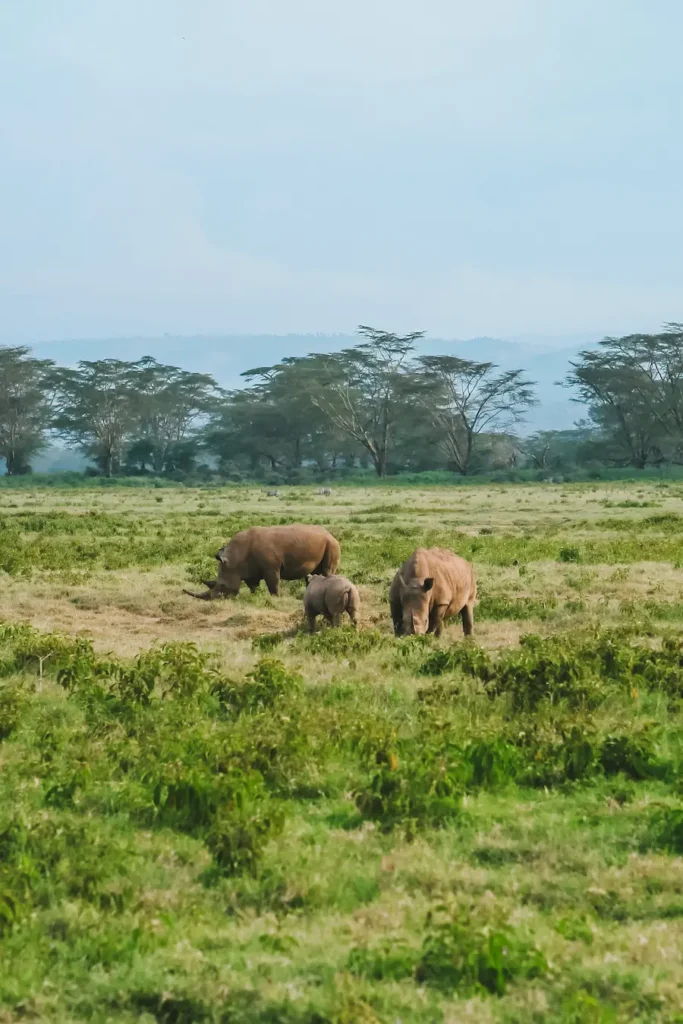 Lake Nakuru