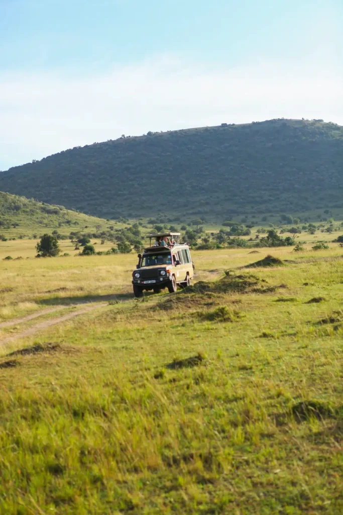 Incredible Safari experience in Kenya. Here is a Jeep driving through the Masai Mara Park.