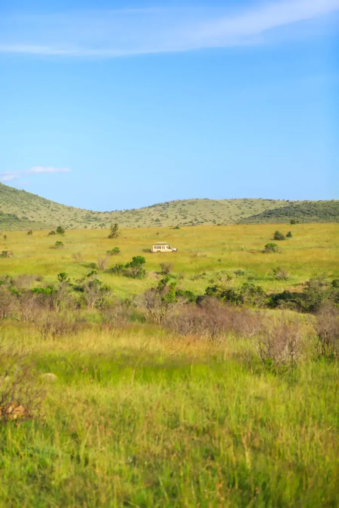 A Jeep driving through the Masai Mara in Kenya