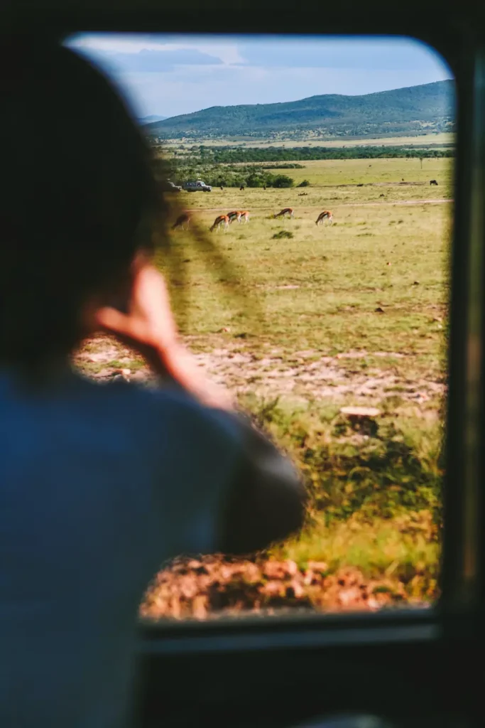 View from our Jeep