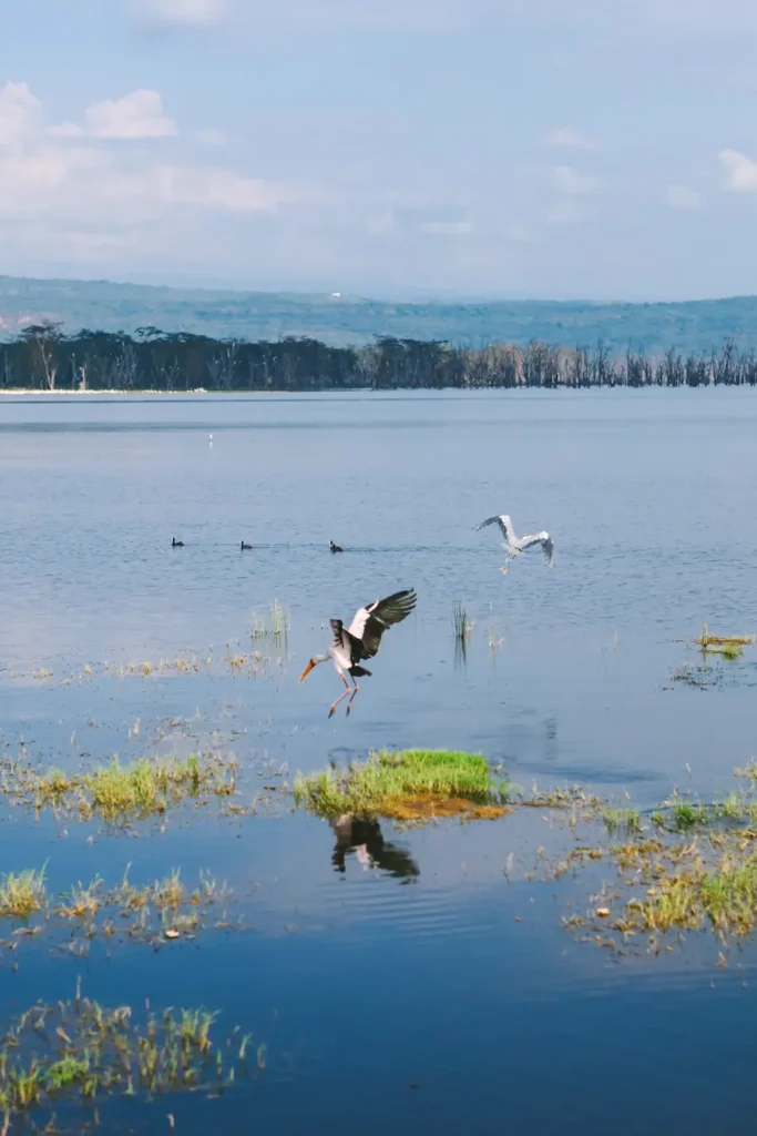 Lake Nakuru