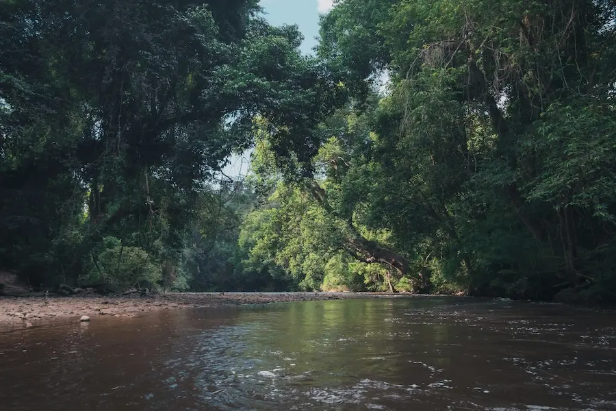 Swimming in Taman Negara. One of our best memories!