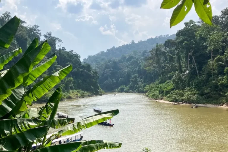 View of the Tembeling River in Taman Negara in Malaysia