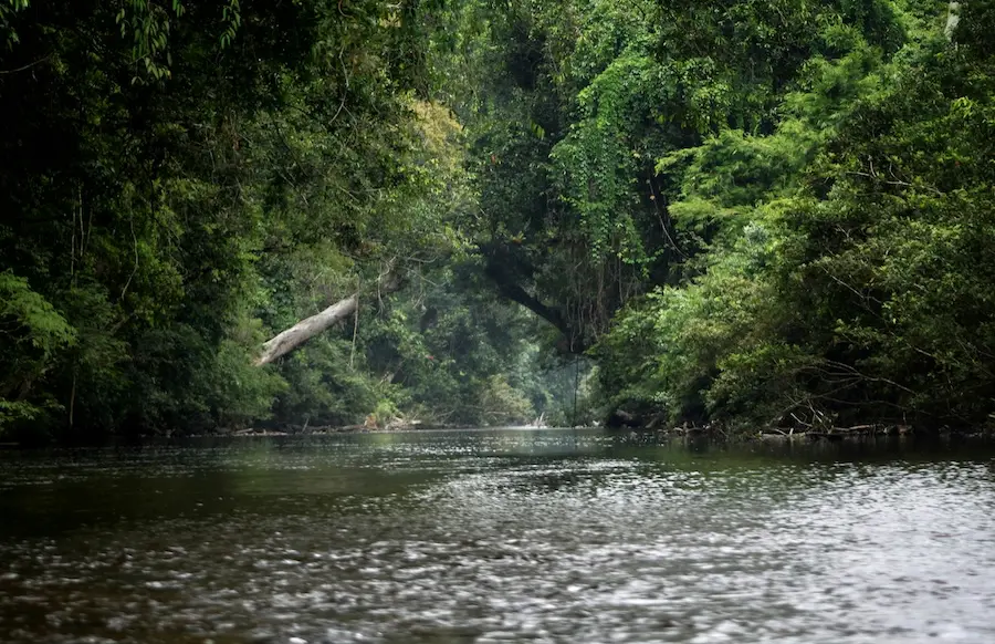 The beautiful Taman Negara national park in Malaysia